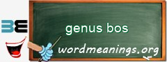 WordMeaning blackboard for genus bos